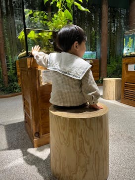 マリンワールド海の中道に投稿された画像（2022/4/17）