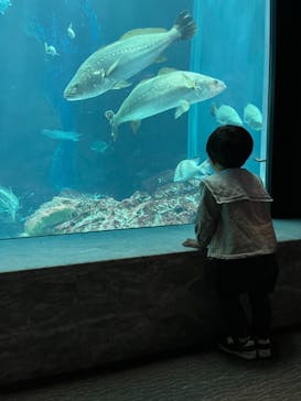 マリンワールド海の中道に投稿された画像（2022/4/17）