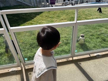 マリンワールド海の中道に投稿された画像（2022/4/17）