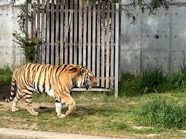 天王寺動物園に投稿された画像（2022/4/17）