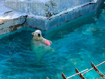 天王寺動物園に投稿された画像（2022/4/17）