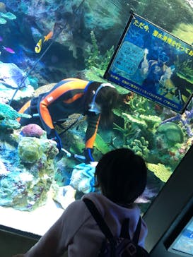 サンシャイン水族館に投稿された画像（2022/4/17）