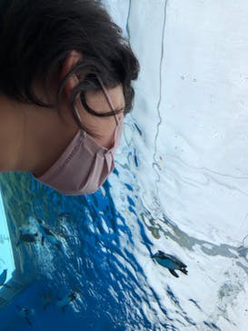 サンシャイン水族館に投稿された画像（2022/4/17）