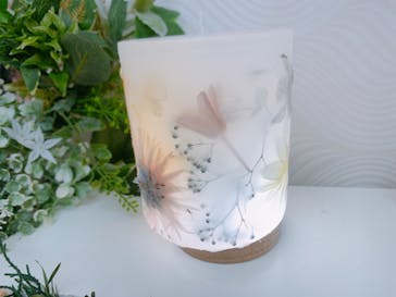 ずこうしつ〜sugamo〜に投稿された画像（2022/4/17）