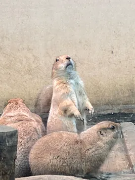 横浜・八景島シーパラダイスに投稿された画像（2022/4/17）