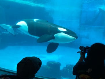 名古屋港水族館に投稿された画像（2022/4/17）