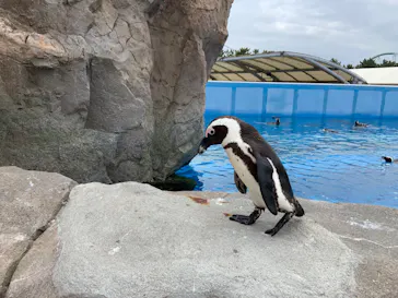 横浜・八景島シーパラダイスに投稿された画像（2022/4/17）