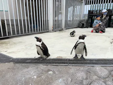 横浜・八景島シーパラダイスに投稿された画像（2022/4/17）