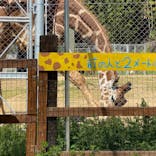 しろとり動物園に投稿された画像（2022/4/17）