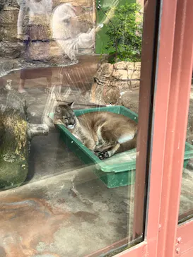 天王寺動物園に投稿された画像（2022/4/17）