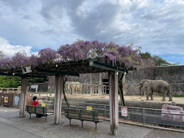 東武動物公園に投稿された画像（2022/4/17）