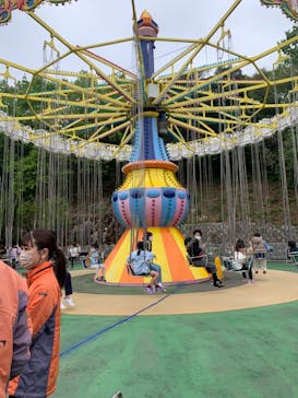 日本モンキーパークに投稿された画像（2022/4/17）