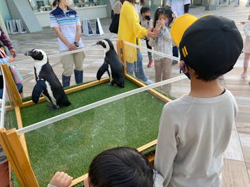 マリンワールド海の中道に投稿された画像（2022/4/17）