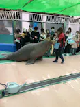 ゼロ距離水族館 伊勢シーパラダイスに投稿された画像（2022/4/17）