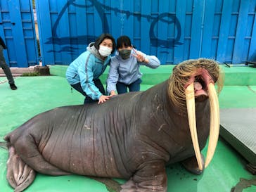 ゼロ距離水族館 伊勢シーパラダイスに投稿された画像（2022/4/17）