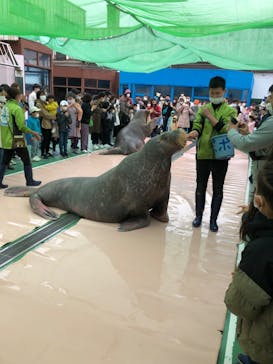 ゼロ距離水族館 伊勢シーパラダイスに投稿された画像（2022/4/17）
