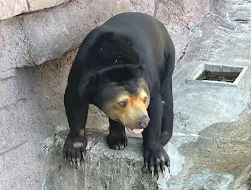 天王寺動物園に投稿された画像（2022/4/17）