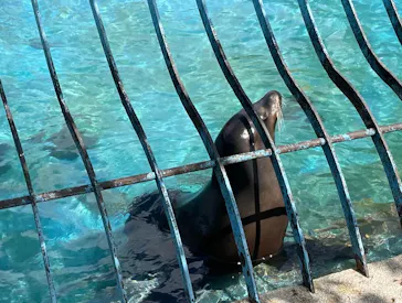 天王寺動物園に投稿された画像（2022/4/17）
