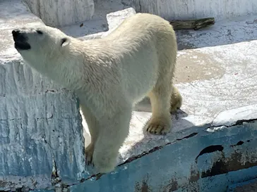 天王寺動物園に投稿された画像（2022/4/17）