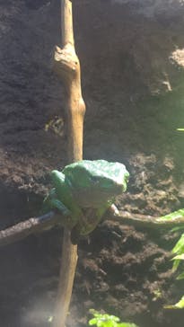 マクセル アクアパーク品川に投稿された画像（2022/4/17）