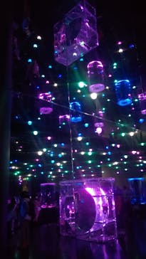 マクセル アクアパーク品川に投稿された画像（2022/4/17）