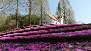 野外民族博物館 リトルワールドに投稿された画像（2022/4/17）