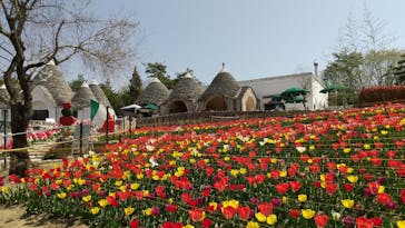 野外民族博物館 リトルワールドに投稿された画像（2022/4/17）