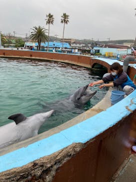 南知多ビーチランド＆南知多おもちゃ王国に投稿された画像（2022/4/17）