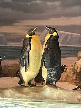 名古屋港水族館に投稿された画像（2022/4/17）