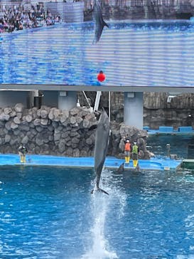 名古屋港水族館に投稿された画像（2022/4/17）