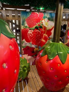 鈴鹿サーキットに投稿された画像（2022/4/17）