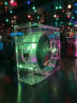 マクセル アクアパーク品川に投稿された画像（2022/4/17）