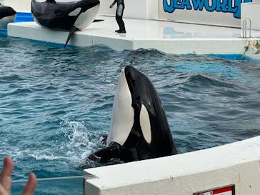 鴨川シーワールドに投稿された画像（2022/4/17）