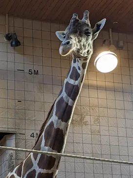 天王寺動物園に投稿された画像（2022/4/17）