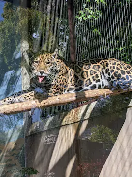 天王寺動物園に投稿された画像（2022/4/17）