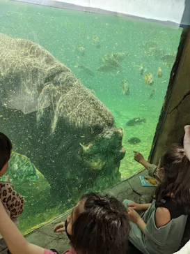 天王寺動物園に投稿された画像（2022/4/17）