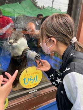 ゼロ距離水族館 伊勢シーパラダイスに投稿された画像（2022/4/17）