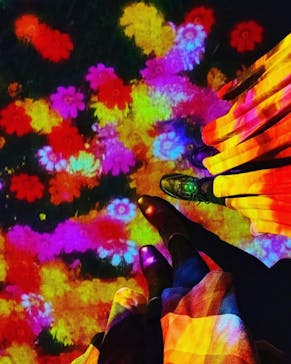 森ビル デジタルアート ミュージアム：エプソン チームラボボーダレスに投稿された画像（2022/4/17）