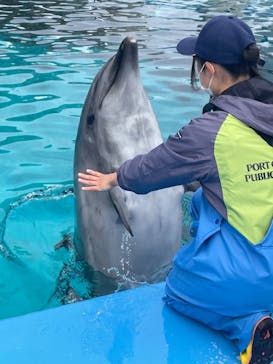 名古屋港水族館に投稿された画像（2022/4/17）