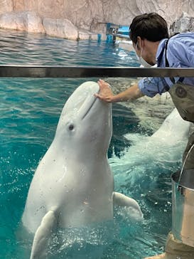 名古屋港水族館に投稿された画像（2022/4/17）