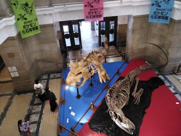 国立科学博物館　特別企画展「ポケモン化石博物館」に投稿された画像（2022/4/17）