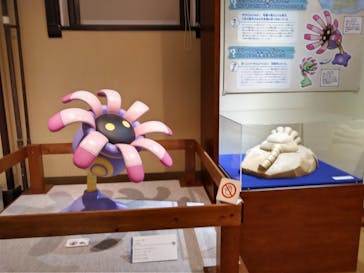 国立科学博物館　特別企画展「ポケモン化石博物館」に投稿された画像（2022/4/17）