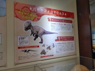 国立科学博物館　特別企画展「ポケモン化石博物館」に投稿された画像（2022/4/17）