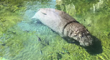 天王寺動物園に投稿された画像（2022/4/17）