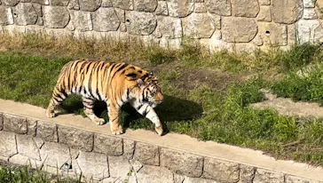 天王寺動物園に投稿された画像（2022/4/17）