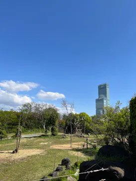 天王寺動物園に投稿された画像（2022/4/17）