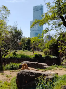 天王寺動物園に投稿された画像（2022/4/17）