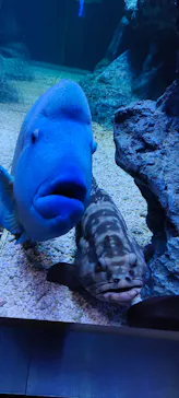 すみだ水族館に投稿された画像（2022/4/17）