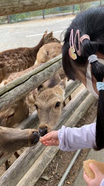 群馬サファリパークに投稿された画像（2022/4/17）