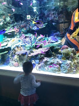 サンシャイン水族館に投稿された画像（2022/4/17）